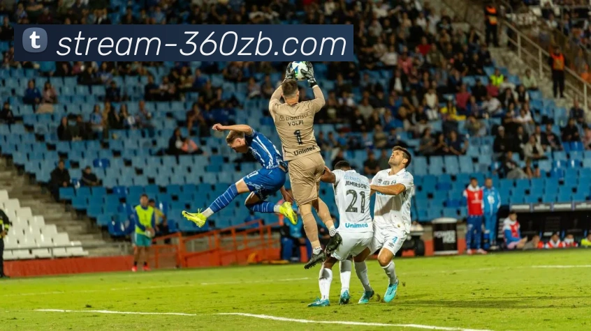 多媒体互动体验